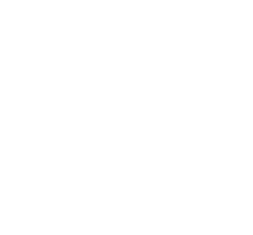 Pure Excellence Construction Logo White